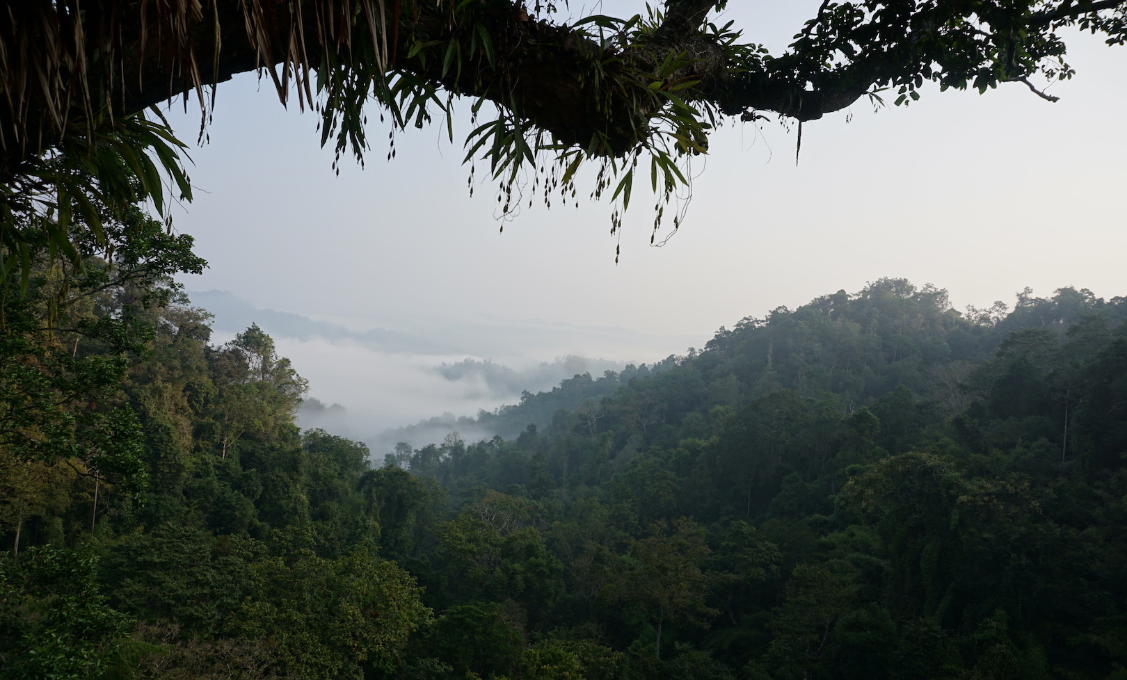 Laos